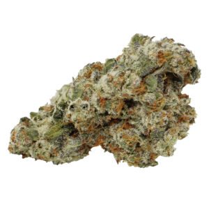 CBD Flower – Mango Kush for sale in Brussels