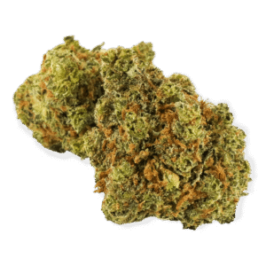 Lemon Sativa weed Strain