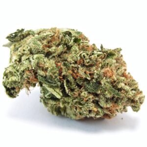 Motorbreath Cannabis Strain