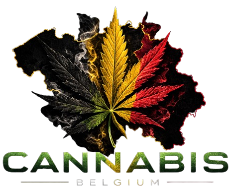 Cannabis Belgium